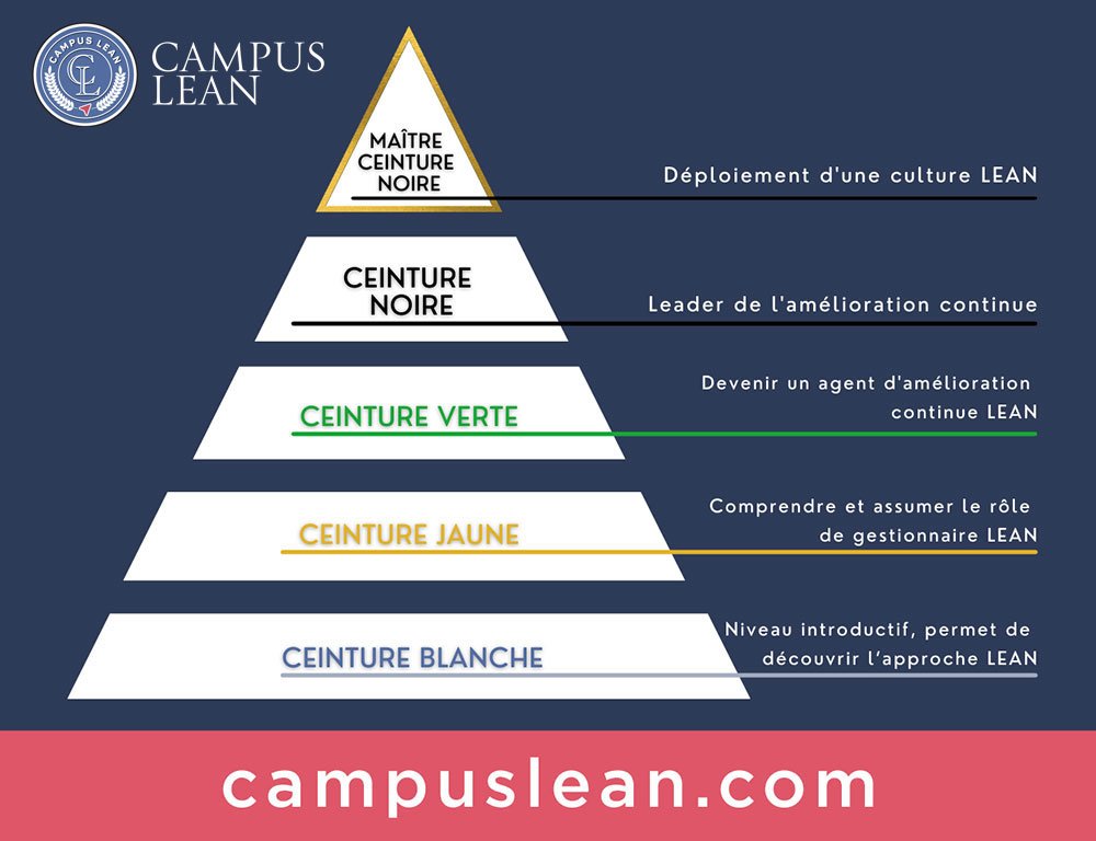 Représentation visuelle des cinq ceintures LEAN six sigma présentées par le Campus LEAN
