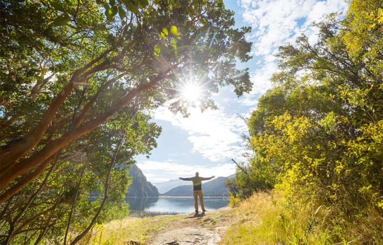 Et si l’on s’inspirait de la nature pour optimiser nos processus ?